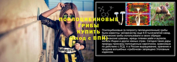 соль курить ск Михайловка