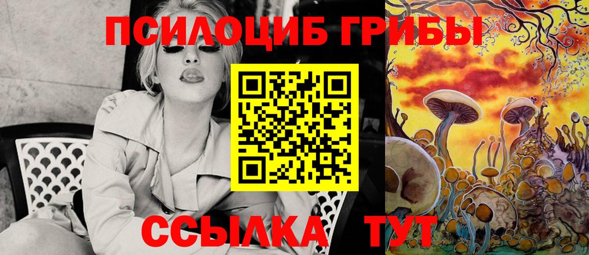 Псилоцибиновые грибы Psilocybine cubensis  Елабуга 