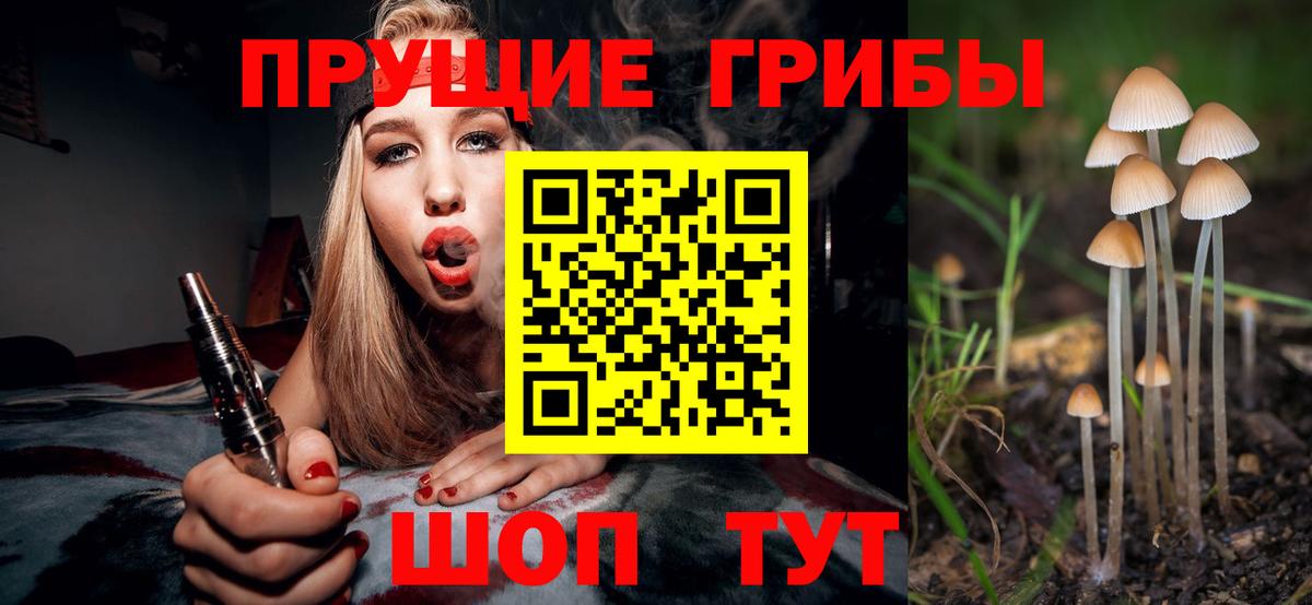 Псилоцибиновые грибы мицелий  Галлюциногенные грибы Cubensis  Елабуга  Вход с VPN 