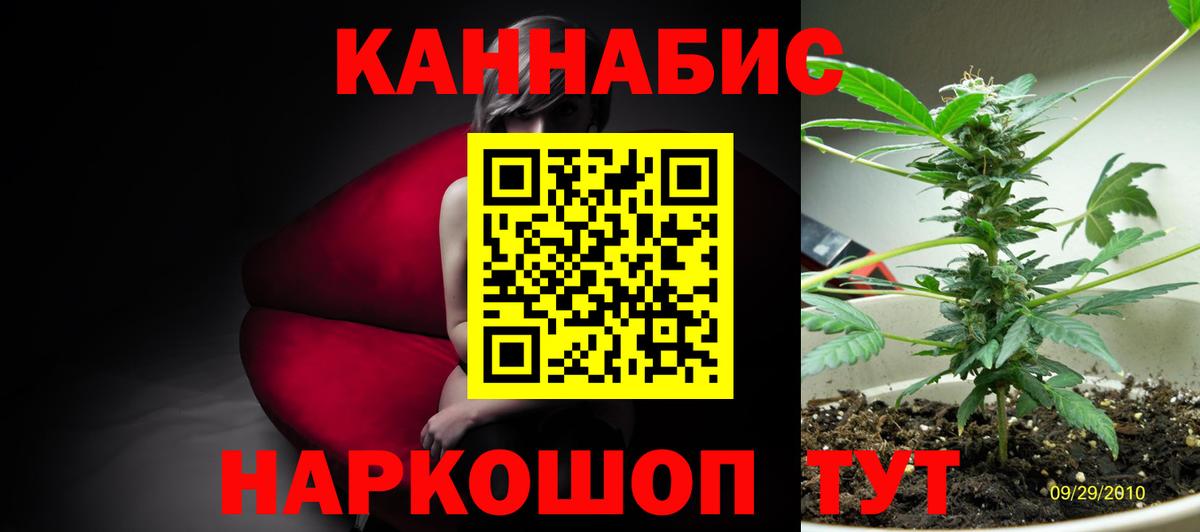 Каннабис план Елабуга